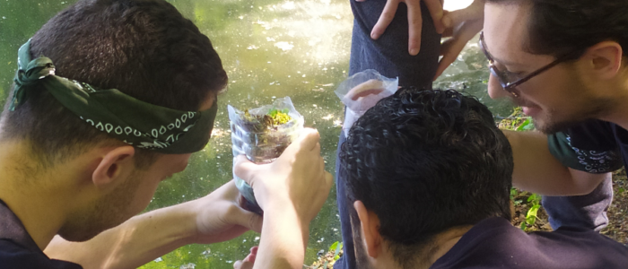 Photographie de nos collaborateurs lors de l'activité de filtration de l'eau à partir d'éléments trouvés en pleine nature.